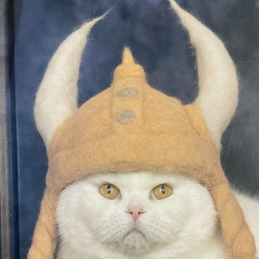 🎃My Cat Ella Wants to be Boudicca